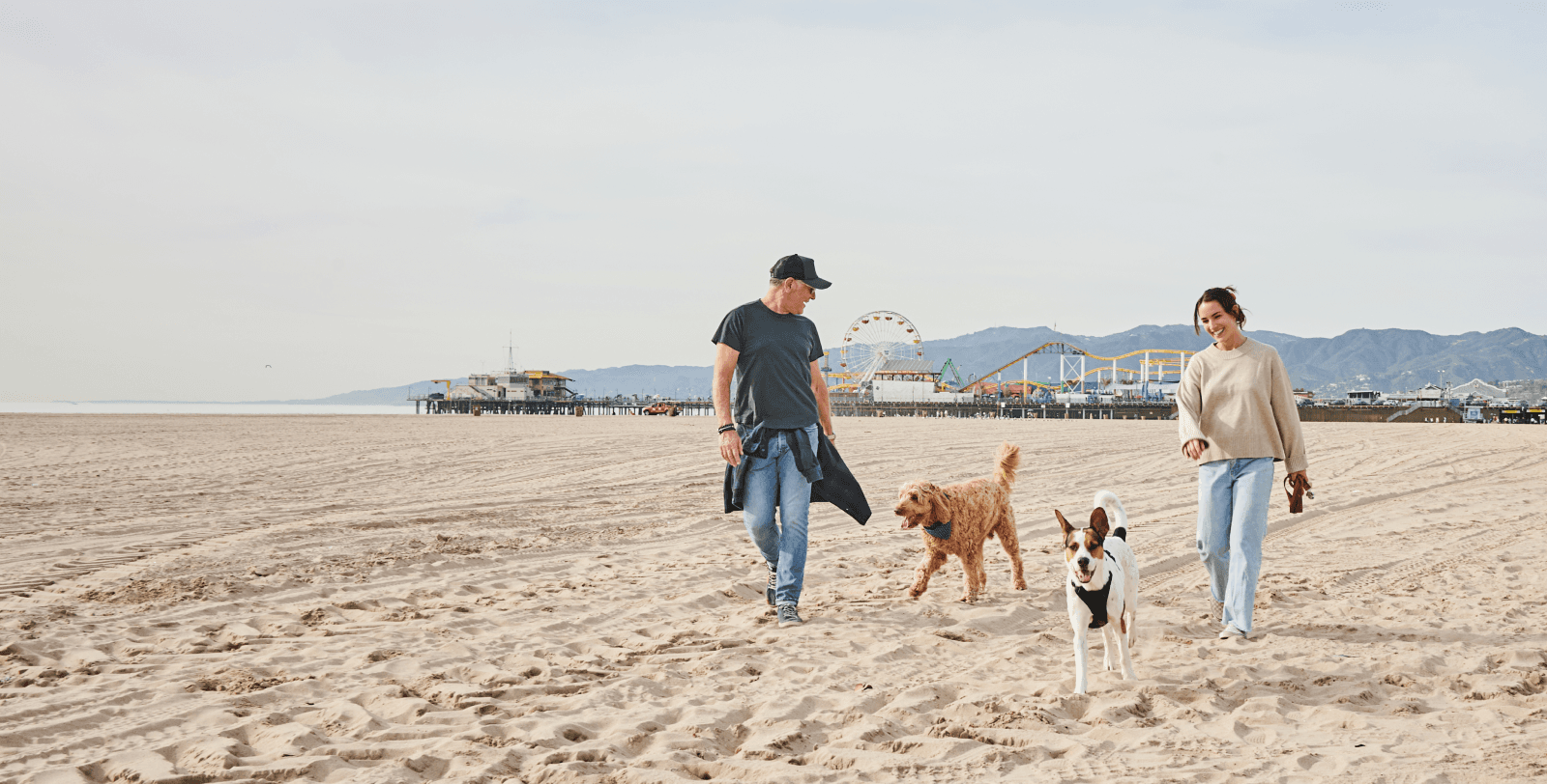 Happy dog running freely on a sunny beach, symbolizing our culture of care that extends beyond clinical settings