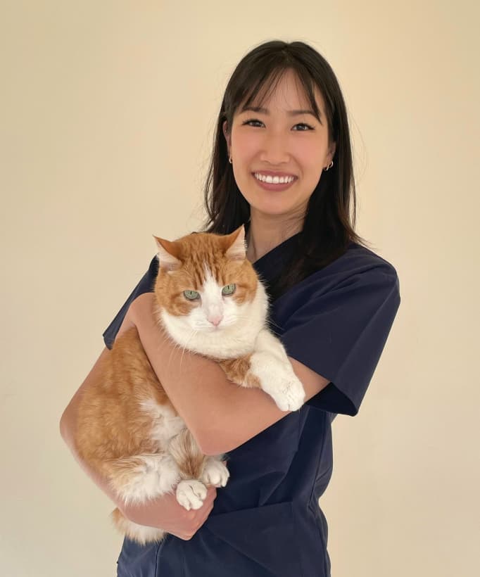 Rachel Park, DVM thumbnail