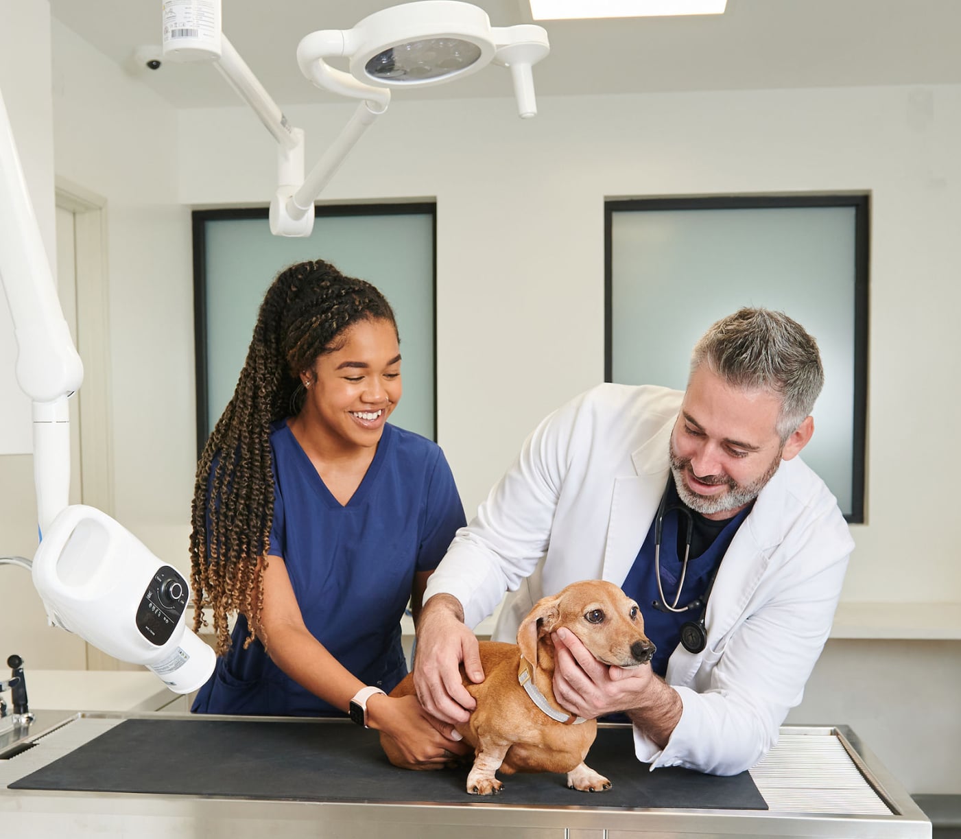 Two veterinary doctors examining a cat on an examination table, demonstrating professional medical care